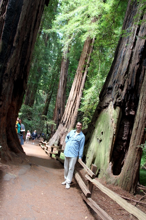 ���� ���